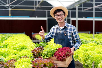 Naklejka na ściany i meble Young man smart farmer smiling success and hoding organic hydroponic vegetable in basket to management preparing export to sell