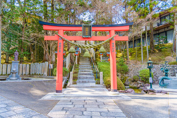 【奈良県】奈良市 霊山寺 (2023/03/10撮影)