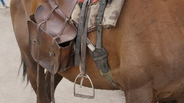 Camera tilt: Saddle and pannier detail on horse in Lesotho, Africa