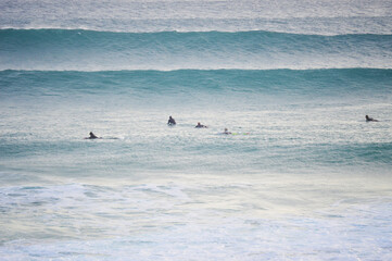 Australian surfers paddling Phillip Island waves surfboard surfboards ocean swim water