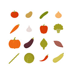 Set of vegetables. Fresh organic vegetables isolated on white background. Vector illustration. 