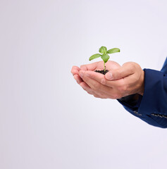 Fototapeta na wymiar Plant in man hands for business growth isolated on white background with eco friendly investment mockup space. Sapling soil, palm and sustainable investing, sustainability or green startup in studio