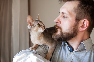 Close up of abyssinian kitten lying on bearded man's shoulder and looking at him. Beige background. Love relationship, best friends, pets care concept. Selective focus.