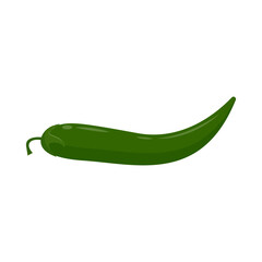 Green chili flat vector illustration isolated on white background