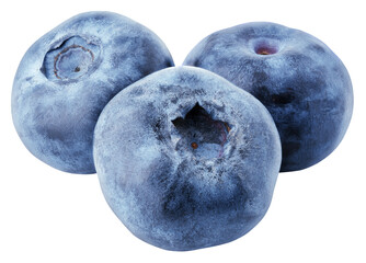 Group of blueberry berry isolated on transparent background