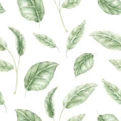 Cute Spring Seamless Watercolor Pattern of Rose Leaves. Hand-Drawn Botanical Illustration  for Wallpaper, Banner, Textile, Postcard or Wrapping Paper