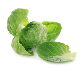 Fresh green brussels sprout and leaves on white background