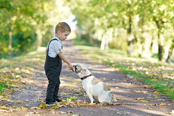 kleiner Junge mit seinem Hund