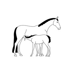 Feeding a foal, black and white vector simple illustration