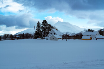 landscape nature snowy day in tromso, norway