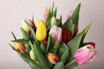 Bouquet of colorful tulips on white background, closeup