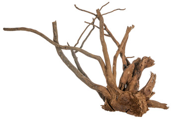 a piece of a filigree root / trunk river wood, driftwood, natural wood, plant root, sera scaper root isolated on transparent background png image compositing footage alpha channel