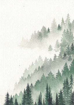 Watercolor landscape, coniferous green forest in a light fog, stylized freehand drawing.