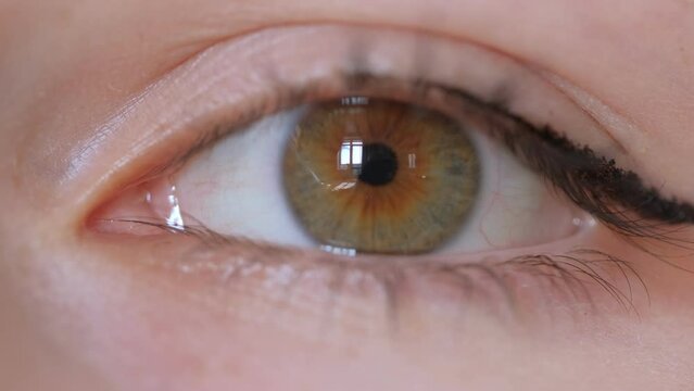 close up macro eye opening human iris beautiful blue eye healthy eyesight awareness concept 4K