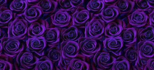 Roses in dark purple color, horizontal seamless pattern. Roses arrangement in purple and blue modern gothic style.