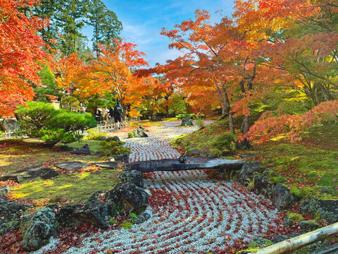 Tenryu-ji Temple & Zen Garden