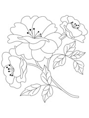isolated, Doodle floral in black and white. Page for coloring book, interesting and relaxing art for children and adults.