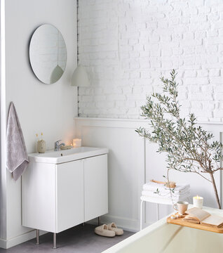 White bathroom, interior concept, cabinet, sink, mirror, accessory and plant, decorative style.