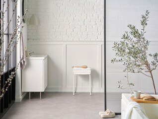 White bathroom, interior concept, cabinet, sink, mirror, accessory and plant, decorative style.
