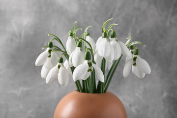 Beautiful snowdrops in vase on grey background, closeup