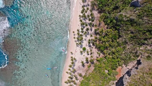 Topdown View Of Crystal Clear Beach Of Playa Fronton With Lush Palm Trees And Sheer Cliffs In Las Galeras Samana, Dominican Republic. Aerial Drone Shot