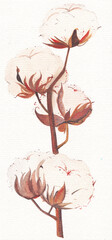 Watercolor drawing autumn twig of cotton with leaves on a white background separately, freehand drawing.