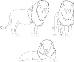 Sketch vector illustration of a wild male lion animal in the forest