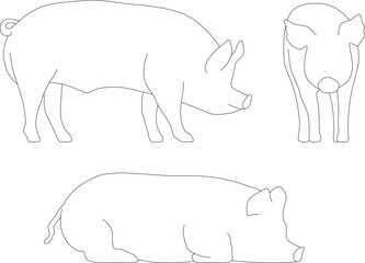 Sketch vector illustration of a wild pig animal in the jungle