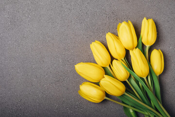 Beautiful fresh yellow tulip flowers in full bloom on grey concrete background, top view. Copy space for text. Minimalist flat lay with spring blooms.