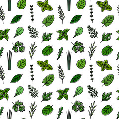 Seamless pattern with color icons of culinary herbs, vector illustration