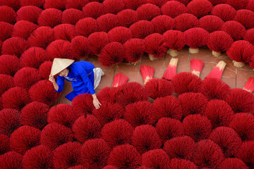 Asian woman in a traditional ao dai dress working for drying  bundles of Incense sticks at Hanoi, Vietnam.