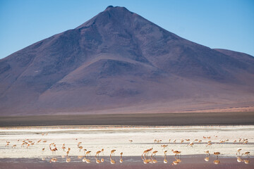Laguna Route in Bolivia, Sand Desert Formation and Salt Water Lake Lagoon, Travel Destination along Andean Cordillera, Altiplano