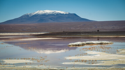 Laguna Route in Bolivia, Sand Desert Formation and Salt Water Lake Lagoon, Travel Destination along Andean Cordillera, Altiplano