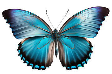 Beautiful butterfly isolated on transparent background. PNG as digital illustration (Generative AI)