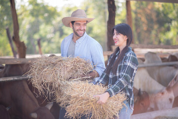 Young couple working together in dairy farm.