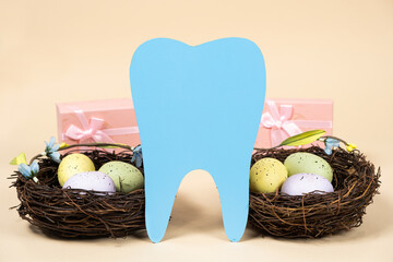 Easter dentistry. Blue tooth and painted eggs in nests on a beige background, a place for text.