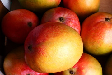 fresh organic mango fruit closeup isolated,selective focus