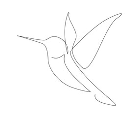 Continuous one line drawing of collibri. Humming bird. Abstract flying bird outline vector illustration.