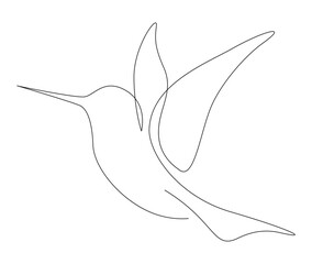Continuous one line drawing of collibri. Humming bird. Abstract flying bird outline vector illustration. © Line addict