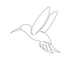 Continuous one line drawing of collibri. Humming bird. Abstract flying bird outline vector illustration.