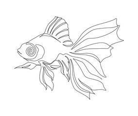 Continuous one line drawing of fish. Simple golden fish outline vector illustration.