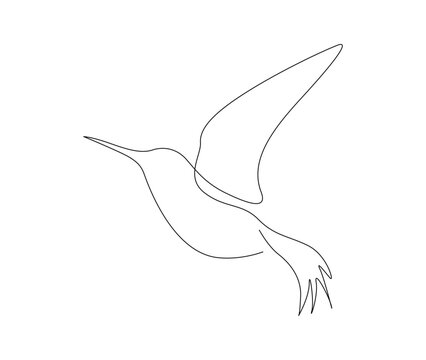 recommend clip art: Continuous one line drawing of collibri. Humming bird, abstract flying bird outline vector illustration.