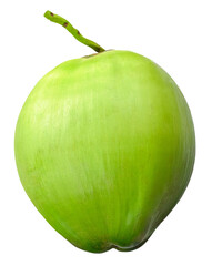 Fresh young green coconut isolated on transparent background, PNG image