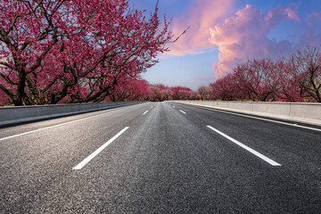 Fototapeta premium Asphalt road and plum blossom tree landscape