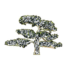 color sketch of a bonsai plant with transparent background
