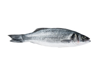 Fresh raw seabass fish on kitchen table.  Isolated, transparent background.
