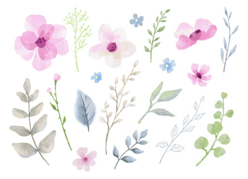 Collection of watercolor floral elements. Pink flowers, green and blue leaves, branches. Illustration of blooming spring plants for wedding invitations, greetings, wallpapers, fashion 