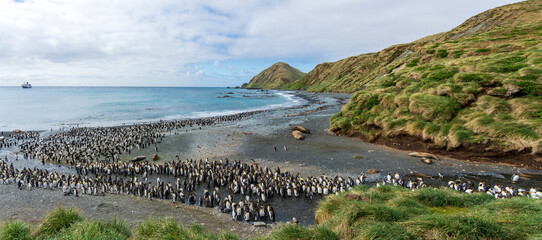 View from Sandy bay, Macquarie Islland, Australia. © Johannes Jensås