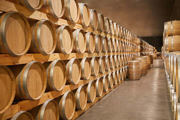 barricas, bodega, depósito, almacén, subsuelo, vinos, roble, reserva, cabernet, tinto, blanco,...