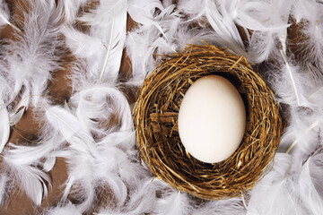 A woman's hand puts a large white egg in the nest. Fresh eco products, egg in nest on brown background, chicken feathers flying. Chicken egg, food, nature